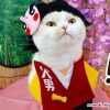 「鬼滅の刃」手作り小鉄くんコスプレ衣装で登場♪