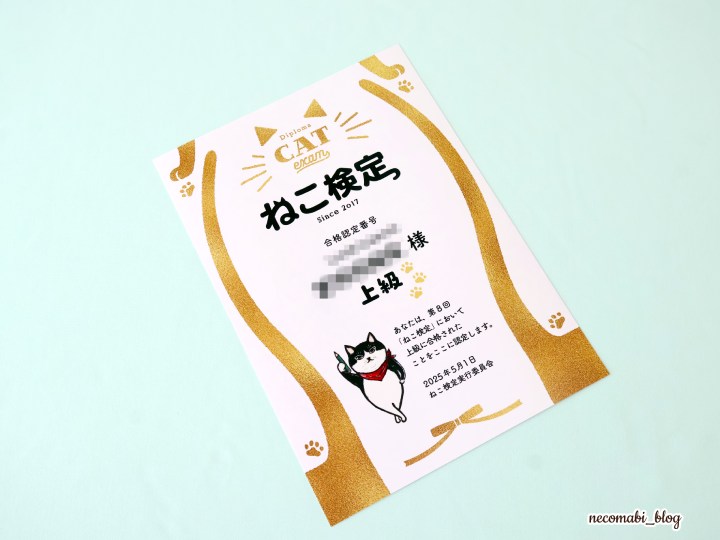 スコティッシュフォールド,ブログ,まびこ,ブリティッシュショートヘア,コロ助,猫,ねこ検定,ねこ検定2025,第8回ねこ検定,上級,合格認定証,検定,資格,合格率,オンライン