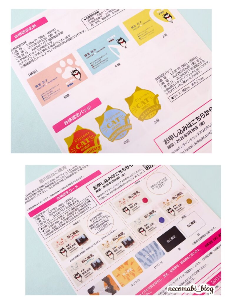 スコティッシュフォールド,ブログ,まびこ,ブリティッシュショートヘア,コロ助,猫,ねこ検定,ねこ検定2025,第８回ねこ検定,上級,合格認定証,検定,資格,合格率,オンライン