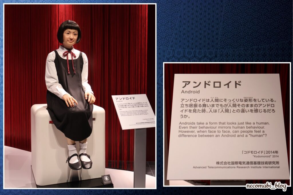 スコティッシュフォールド,ブログ,まびこ,ブリティッシュショートヘア,コロ助,猫,大阪・関西万博,expo2025,シグネチャーパビリオン,いのちの未来,石黒浩,キャンセル待ち整理券,裏技,おすすめ,みどころ,感想,口コミ,レポート