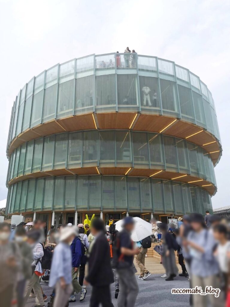 スコティッシュフォールド,ブログ,まびこ,ブリティッシュショートヘア,コロ助,猫,大阪・関西万博,expo2025,海外パビリオン,チェコパビリオン,レストラン,チェコビール,チェコ料理,おすすめ,みどころ,感想,口コミ,レポート,レビュー,チェコパビリオンマスコットキャラクター,レネ,レネぬいぐるみ,どこで買える,値段,価格