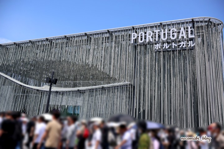 スコティッシュフォールド,ブログ,まびこ,ブリティッシュショートヘア,コロ助,猫,大阪・関西万博,expo2025,民間パビリオン,国内パビリオン,コモンズ館,パビリオン,予約なし,楽しむコツ,おすすめ,みどころ,感想,口コミ,レポート,レビュー
