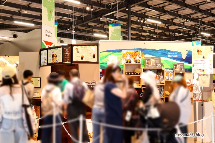 スコティッシュフォールド,ブログ,まびこ,ブリティッシュショートヘア,コロ助,猫,大阪・関西万博,expo2025,民間パビリオン,国内パビリオン,コモンズ館,パビリオン,予約なし,楽しむコツ,おすすめ,みどころ,感想,口コミ,レポート,レビュー