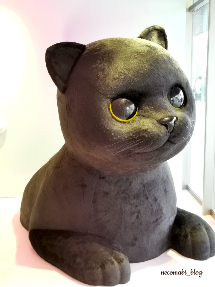 スコティッシュフォールド,ブログ,まびこ,ブリティッシュショートヘア,コロ助,猫,大阪・関西万博,expo2025,クロネコヤマト,西ゲート店,巨大クロネコ,キャラクター,ゆるキャラ,ミャクミャク,ガンダム,鉄腕アトム,はばタン,羽曳野市,つぶたん,桃鉄,貧乏神,パビリオン,予約なし,楽しむコツ,おすすめ,みどころ,感想,口コミ,レポート,レビュー