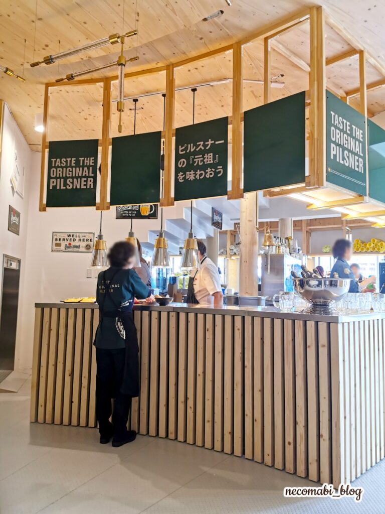 スコティッシュフォールド,ブログ,まびこ,ブリティッシュショートヘア,コロ助,猫,大阪・関西万博,expo2025,海外パビリオン,チェコパビリオン,レストラン,チェコビール,チェコ料理,おすすめ,みどころ,感想,口コミ,レポート,レビュー,チェコパビリオンマスコットキャラクター,レネ,レネぬいぐるみ,どこで買える,値段,価格
