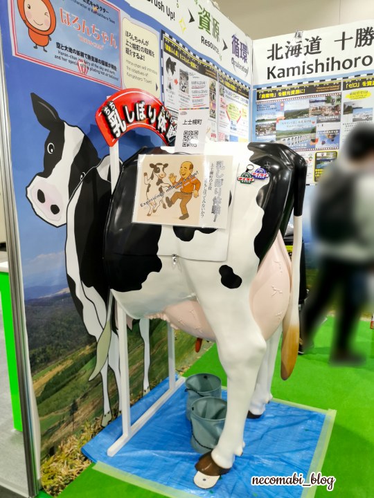スコティッシュフォールド,ブログ,まびこ,ブリティッシュショートヘア,コロ助,猫,大阪・関西万博,expo2025,イベント,予約なし,EXPOメッセ,WASSE,地方創生SDGs,地方創生SDGsフェス,桃鉄,桃太郎電鉄,桃鉄コラボ,どこ,期間,楽しむコツ,おすすめ,みどころ,感想,口コミ,レポート,レビュー