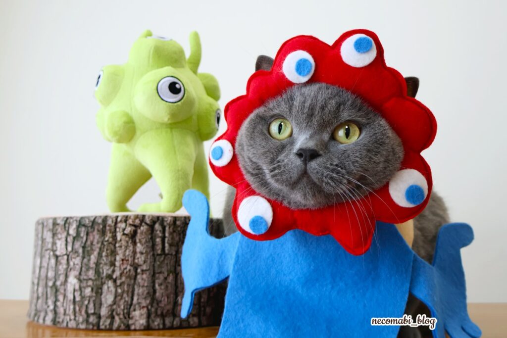 スコティッシュフォールド,ブログ,まびこ,ブリティッシュショートヘア,コロ助,猫,大阪・関西万博,expo2025,海外パビリオン,チェコパビリオン,レストラン,チェコビール,チェコ料理,おすすめ,みどころ,感想,口コミ,レポート,レビュー,チェコパビリオンマスコットキャラクター,レネ,レネぬいぐるみ,どこで買える,値段,価格