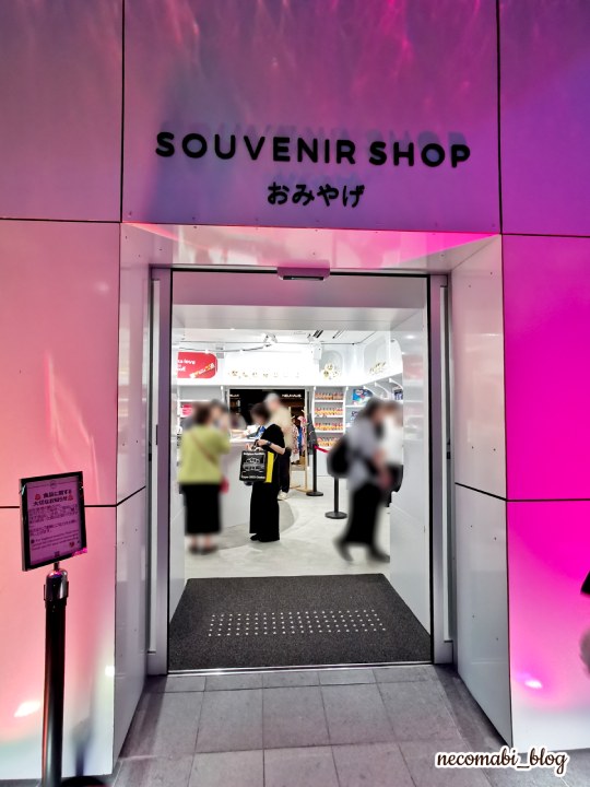 スコティッシュフォールド,ブログ,まびこ,ブリティッシュショートヘア,コロ助,猫,大阪・関西万博,expo2025,民間パビリオン,国内パビリオン,コモンズ館,パビリオン,予約なし,楽しむコツ,おすすめ,みどころ,感想,口コミ,レポート,レビュー