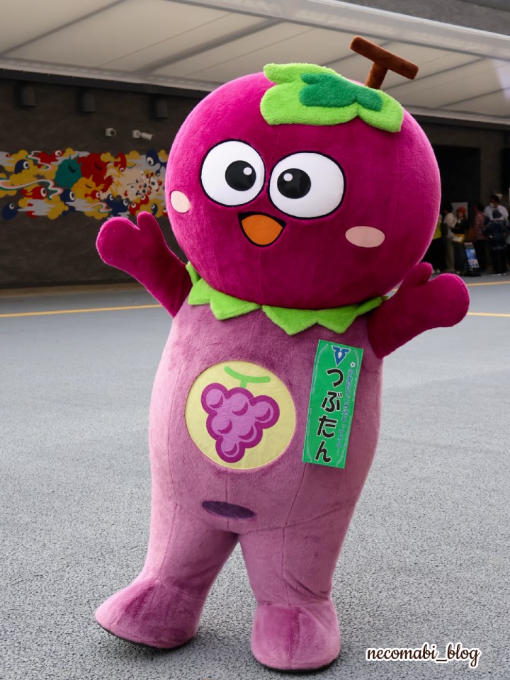 スコティッシュフォールド,ブログ,まびこ,ブリティッシュショートヘア,コロ助,猫,大阪・関西万博,expo2025,クロネコヤマト,西ゲート店,巨大クロネコ,キャラクター,ゆるキャラ,ミャクミャク,ガンダム,鉄腕アトム,はばタン,羽曳野市,つぶたん,桃鉄,貧乏神,パビリオン,予約なし,楽しむコツ,おすすめ,みどころ,感想,口コミ,レポート,レビュー