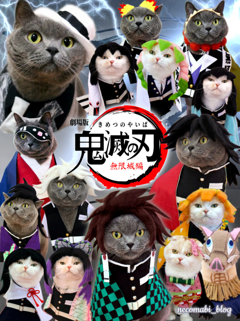 スコティッシュフォールド,ブログ,まびこ,ブリティッシュショートヘア,コロ助,猫,映画,劇場版,鬼滅の刃,無限城編,第一章 猗窩座再来,MX4D,4DX,先行上映,感想,レビュー,グッズ