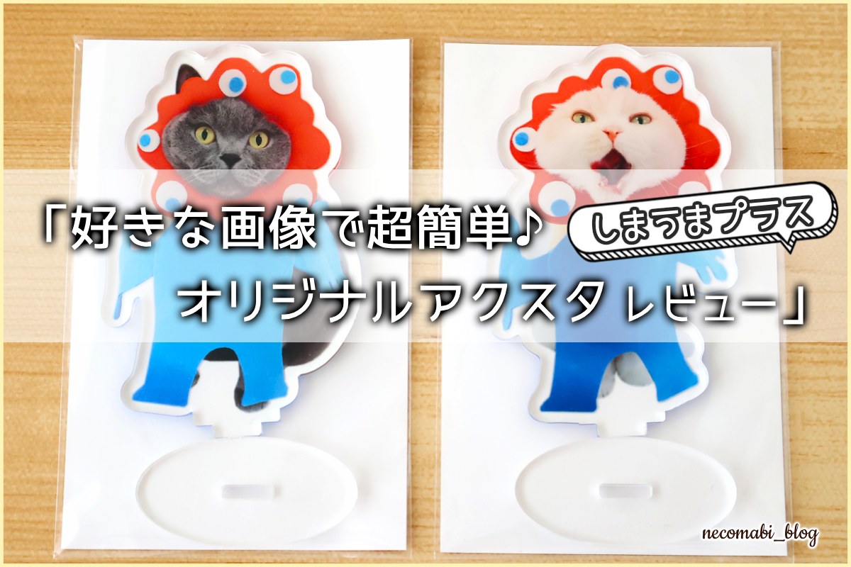好きな写真で超簡単♪しまうまプラスでオリジナルアクリルスタンドを作ってみました!!