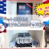【大阪・関西万博2025】ペット用品も!!アメリカ館で買えるオリジナルグッズ紹介