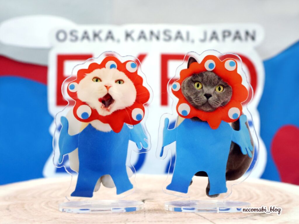 スコティッシュフォールド,ブログ,まびこ,ブリティッシュショートヘア,コロ助,猫,しまうまプラス,アクリルスタンド,アクスタ,オリジナルグッズ,推し活グッズ,格安,低価格,価格,送料,レビュー,口コミ