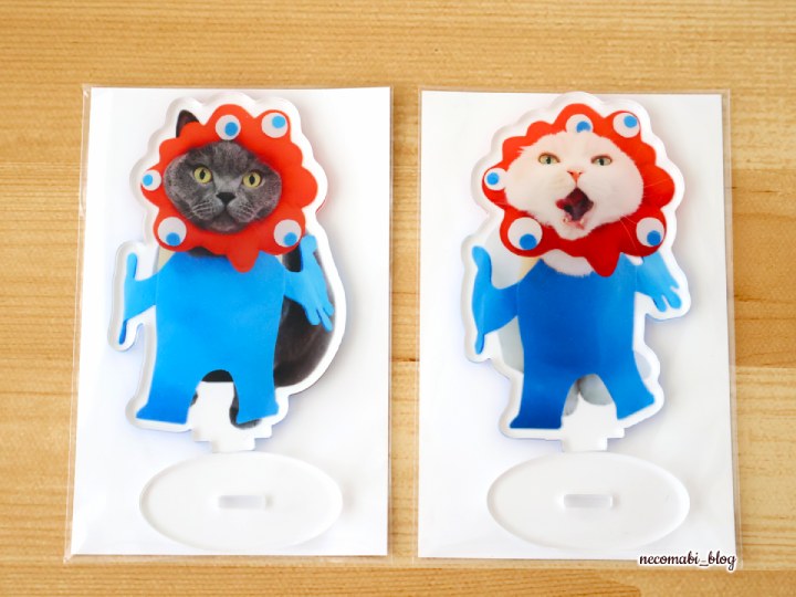 スコティッシュフォールド,ブログ,まびこ,ブリティッシュショートヘア,コロ助,猫,しまうまプラス,アクリルスタンド,アクスタ,オリジナルグッズ,推し活グッズ,格安,低価格,価格,送料,レビュー,口コミ