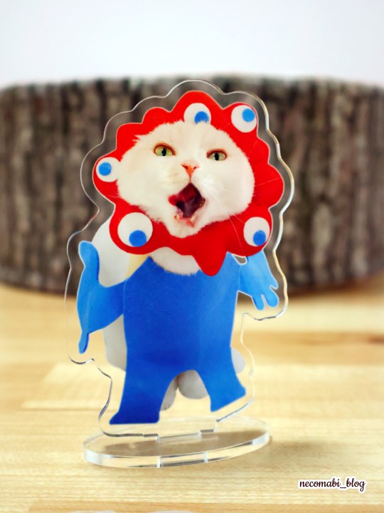 スコティッシュフォールド,ブログ,まびこ,ブリティッシュショートヘア,コロ助,猫,しまうまプラス,アクリルスタンド,アクスタ,オリジナルグッズ,推し活グッズ,格安,低価格,価格,送料,レビュー,口コミ