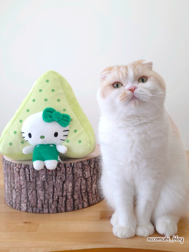 大阪・関西万博,expo2025,閉幕,閉幕後,アフター万博,日本館,ぬいぐるみ,藻類,サンリオ,キティ,藻類×ハローキティ,どこで売ってる,どこで買える,オンライン,おすすめ,感想,口コミ,レビュー