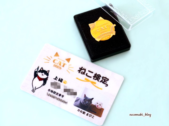 スコティッシュフォールド,ブログ,まびこ,ブリティッシュショートヘア,ブログ,コロ助,猫,検定,テキスト,本,資格,特典,有料特典,合格者特典,猫の検定,猫検定,ねこ検定,ねこ検定とは,感想,口コミ,レビュー