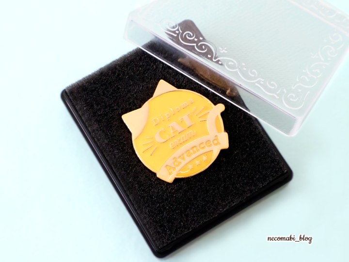 スコティッシュフォールド,ブログ,まびこ,ブリティッシュショートヘア,ブログ,コロ助,猫,検定,テキスト,本,資格,特典,有料特典,合格者特典,猫の検定,猫検定,ねこ検定,ねこ検定とは,感想,口コミ,レビュー