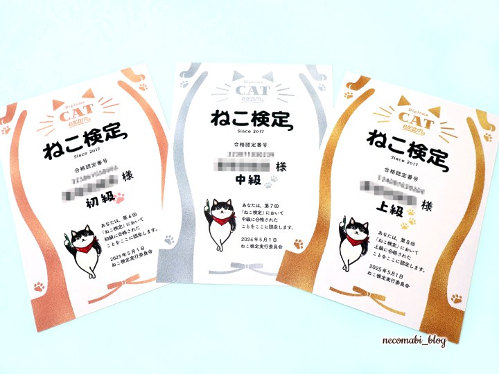 スコティッシュフォールド,ブログ,まびこ,ブリティッシュショートヘア,ブログ,コロ助,猫,検定,テキスト,本,資格,特典,有料特典,合格者特典,猫の検定,猫検定,ねこ検定,ねこ検定とは,感想,口コミ,レビュー