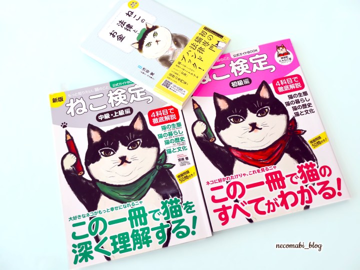 スコティッシュフォールド,ブログ,まびこ,ブリティッシュショートヘア,ブログ,コロ助,猫,検定,テキスト,本,資格,特典,有料特典,合格者特典,猫の検定,猫検定,ねこ検定,ねこ検定とは,感想,口コミ,レビュー